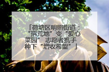 荷塘区明照街道：“撂荒地”变“爱心菜园” 志愿者携手种下“增收希望”