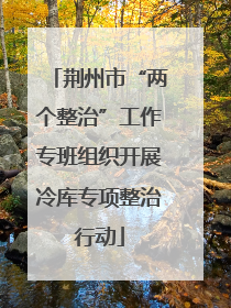 荆州市“两个整治”工作专班组织开展冷库专项整治行动