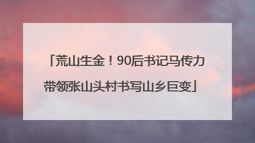 荒山生金！90后书记马传力带领张山头村书写山乡巨变