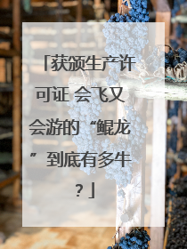 获颁生产许可证 会飞又会游的“鲲龙”到底有多牛？