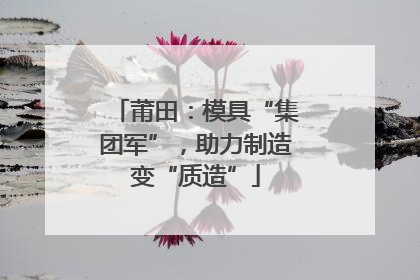 莆田：模具“集团军”，助力制造变“质造”
