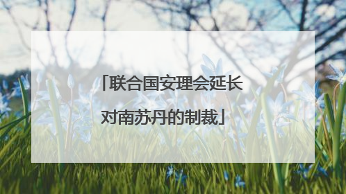 联合国安理会延长对南苏丹的制裁
