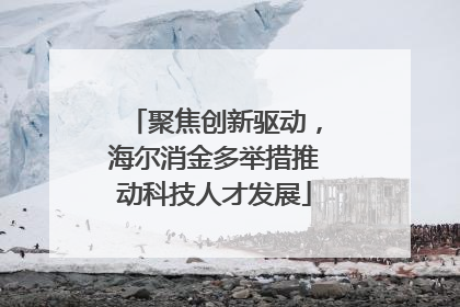 聚焦创新驱动，海尔消金多举措推动科技人才发展