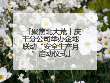聚焦北大荒丨庆丰分公司举办企地联动“安全生产月”启动仪式