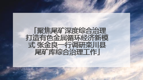 聚焦尾矿深度综合治理 打造有色金属循环经济新模式 张金良一行调研栾川县尾矿库综合治理工作
