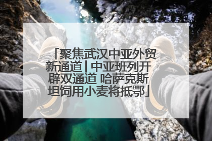 聚焦武汉中亚外贸新通道│中亚班列开辟双通道 哈萨克斯坦饲用小麦将抵鄂