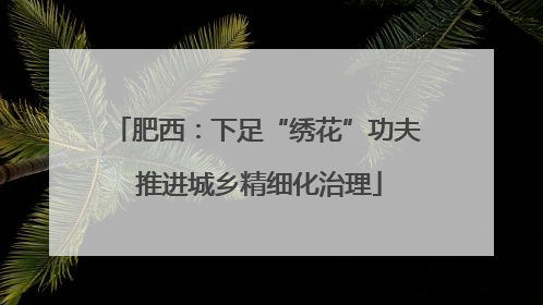 肥西：下足“绣花”功夫 推进城乡精细化治理