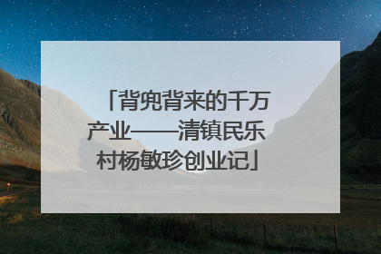 背兜背来的千万产业——清镇民乐村杨敏珍创业记