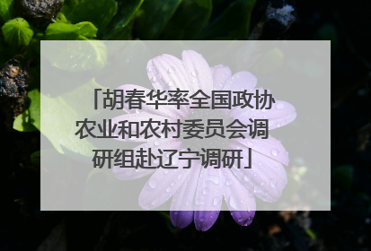 胡春华率全国政协农业和农村委员会调研组赴辽宁调研