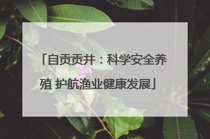自贡贡井：科学安全养殖 护航渔业健康发展