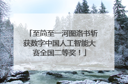 至简至一河图洛书斩获数字中国人工智能大赛全国二等奖！
