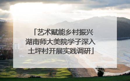 艺术赋能乡村振兴 湖南师大美院学子深入土坪村开展实践调研