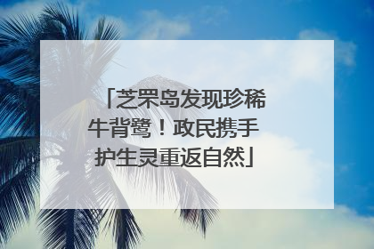 芝罘岛发现珍稀牛背鹭！政民携手护生灵重返自然