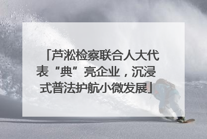 芦淞检察联合人大代表“典”亮企业，沉浸式普法护航小微发展