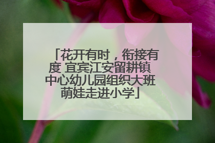 花开有时，衔接有度 宜宾江安留耕镇中心幼儿园组织大班萌娃走进小学