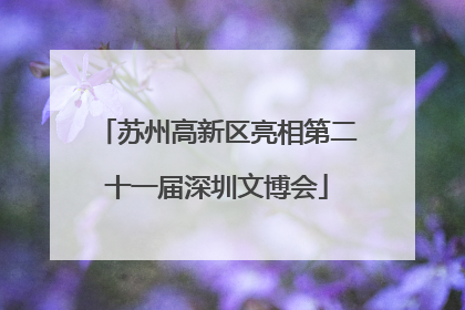 苏州高新区亮相第二十一届深圳文博会