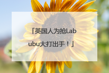 英国人为抢Labubu大打出手！