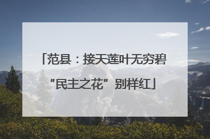 范县：接天莲叶无穷碧 “民主之花”别样红