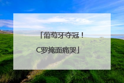 葡萄牙夺冠！C罗掩面痛哭