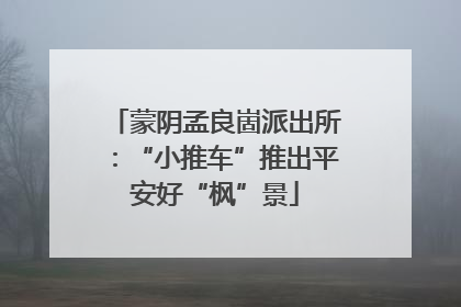 蒙阴孟良崮派出所：“小推车”推出平安好“枫”景