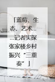 蓝莓、生态、艺术……记者实探张家楼乡村振兴“三重奏”