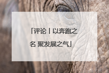评论丨以奔跑之名 聚发展之气