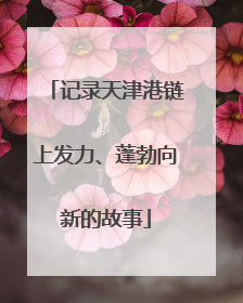 记录天津港链上发力、蓬勃向新的故事