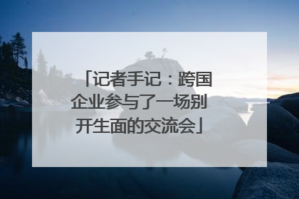 记者手记：跨国企业参与了一场别开生面的交流会