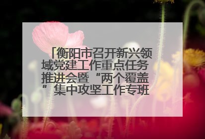 衡阳市召开新兴领域党建工作重点任务推进会暨“两个覆盖”集中攻坚工作专班 第一次会议