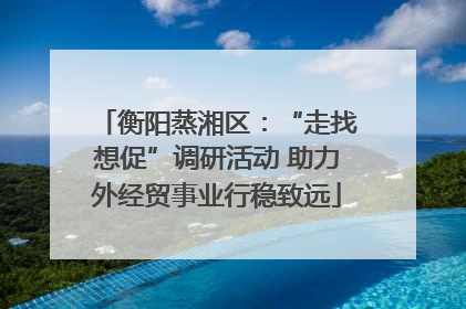 衡阳蒸湘区：“走找想促”调研活动 助力外经贸事业行稳致远