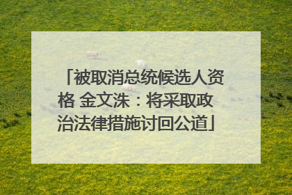 被取消总统候选人资格 金文洙：将采取政治法律措施讨回公道