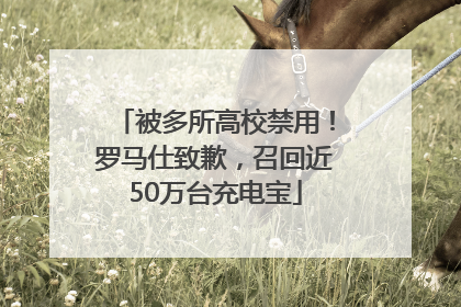 被多所高校禁用！罗马仕致歉，召回近50万台充电宝
