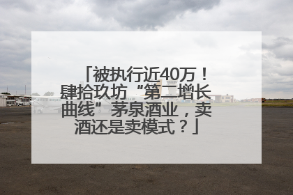 被执行近40万！肆拾玖坊“第二增长曲线”茅泉酒业，卖酒还是卖模式？