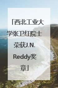 西北工业大学张卫红院士荣获J.N.Reddy奖章