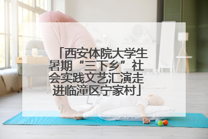 西安体院大学生暑期“三下乡”社会实践文艺汇演走进临潼区宁家村