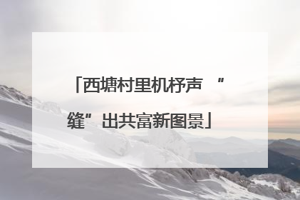 西塘村里机杼声 “缝”出共富新图景