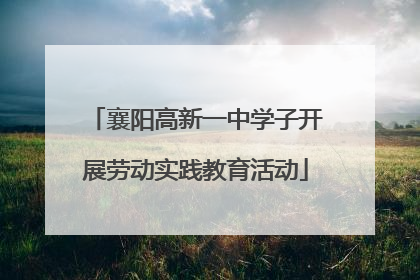 襄阳高新一中学子开展劳动实践教育活动