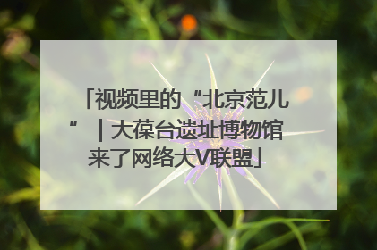 视频里的“北京范儿”｜大葆台遗址博物馆来了网络大V联盟