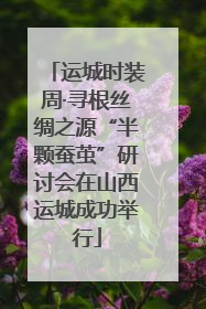 运城时装周·寻根丝绸之源“半颗蚕茧”研讨会在山西运城成功举行
