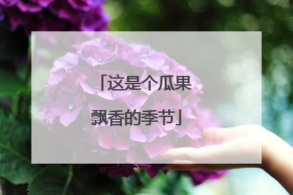 这是个瓜果飘香的季节