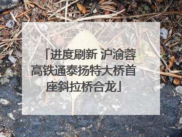 进度刷新 沪渝蓉高铁通泰扬特大桥首座斜拉桥合龙