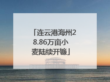 连云港海州28.86万亩小麦陆续开镰