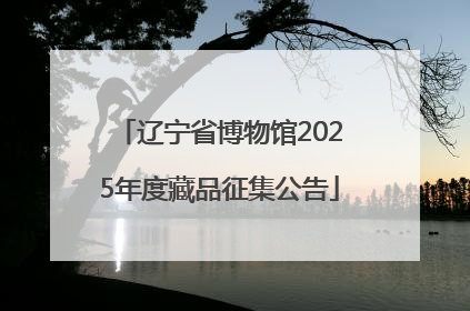 辽宁省博物馆2025年度藏品征集公告