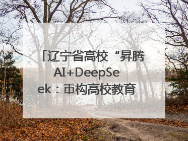 辽宁省高校“昇腾AI+DeepSeek：重构高校教育科技生态”研讨会在沈阳成功举办
