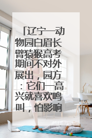 辽宁一动物园白眉长臂猿猴高考期间不对外展出，园方：它们一高兴就喜欢鸣叫，怕影响考试