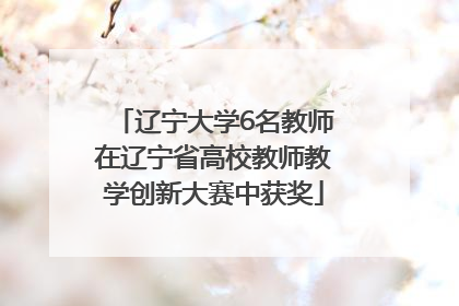 辽宁大学6名教师在辽宁省高校教师教学创新大赛中获奖