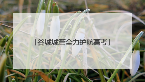谷城城管全力护航高考