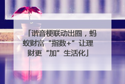 谐音梗联动出圈，蚂蚁财富“指数+”让理财更“加”生活化