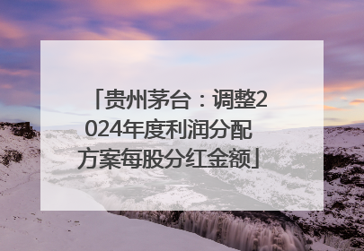 贵州茅台：调整2024年度利润分配方案每股分红金额
