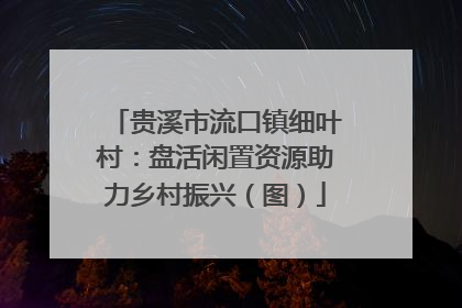 贵溪市流口镇细叶村：盘活闲置资源助力乡村振兴（图）